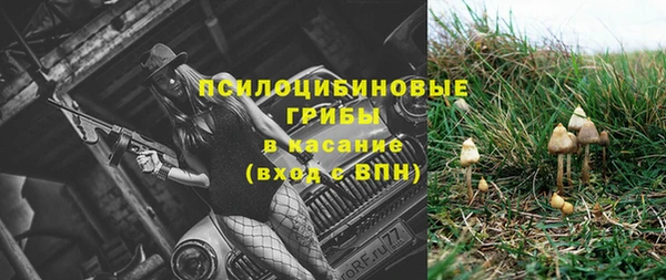 стафф Беломорск