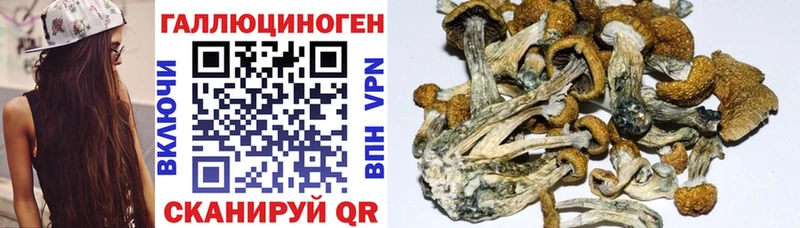 mega рабочий сайт  Нарьян-Мар  darknet официальный сайт  Галлюциногенные грибы мухоморы 